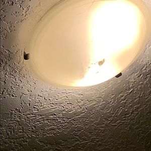 Meet your Posher, Phil